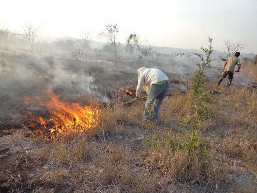 Incendios Forestales En Su Mayoría Son Provocados Por El Hombre 9046