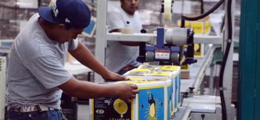 Destaca Tamaulipas en generacion de empleos