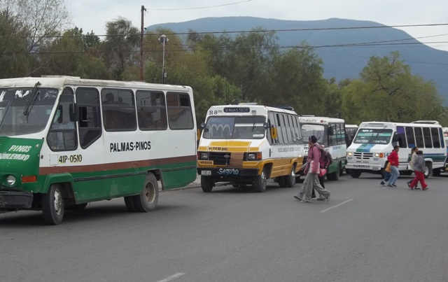 Operativo contra los micros en Ciudad Victoria