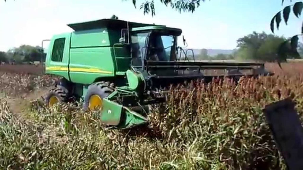 Productores de la zona norte trabajan en lo que será la cosecha del ciclo 2018