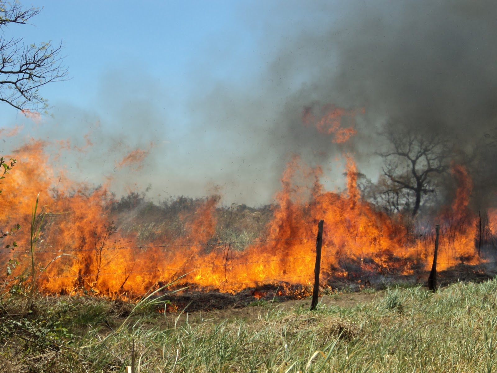 Realiza Conafor programa de capacitación para evitar incendios